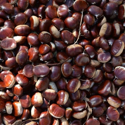 Kestane (kaz dağından) 1000 gr