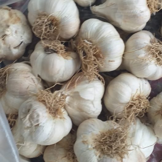 Sarımsak Bayramiç 500 Gr