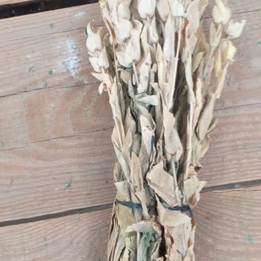 Organik Kandil çayı buketi