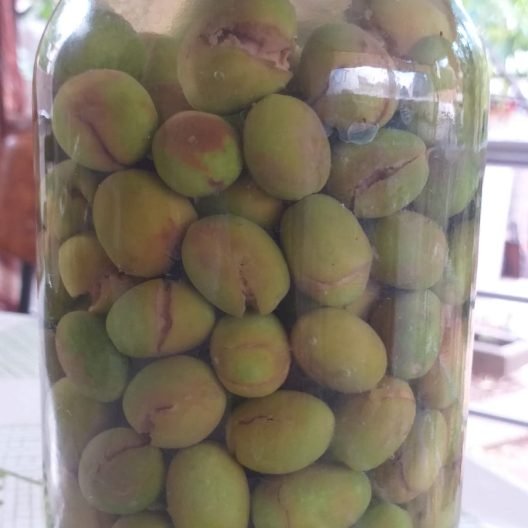 Bayramiç Taş Kırma Yeşil Zeytini 1000 Gr