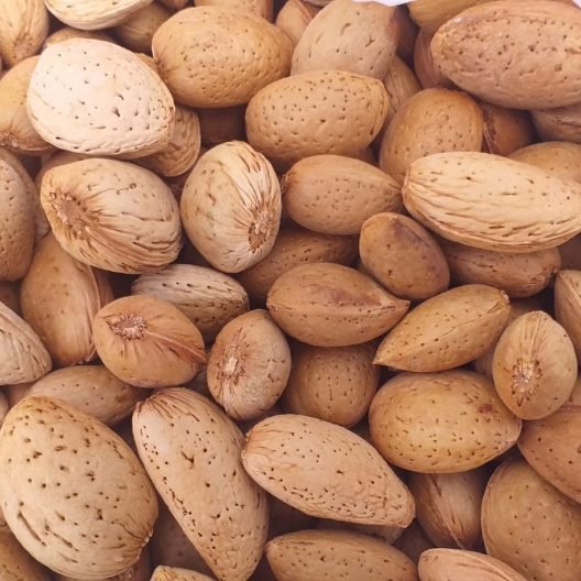 Kuruyemiş & Meyve Kurusu