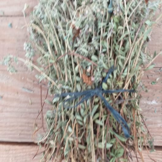 Organik Taş kekiği buketi