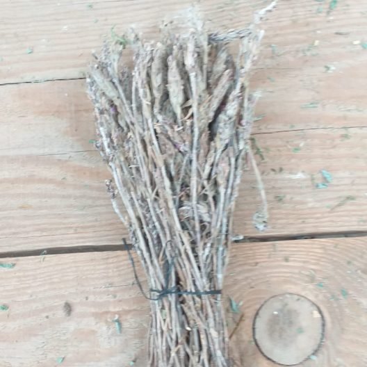 Organik Yaban lavantası buketi